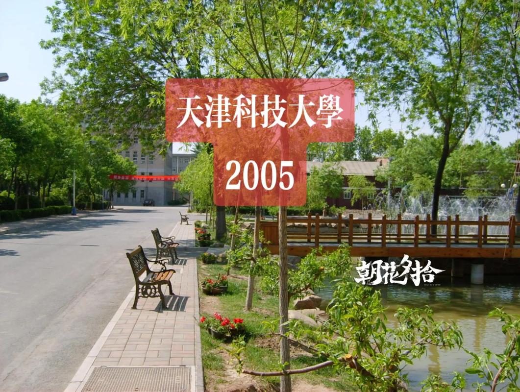 二十年前的天津科技大学.你吃过这家餐厅吗 河西校区#天津科
